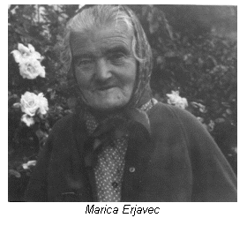 Text Box: Marica Erjavec
